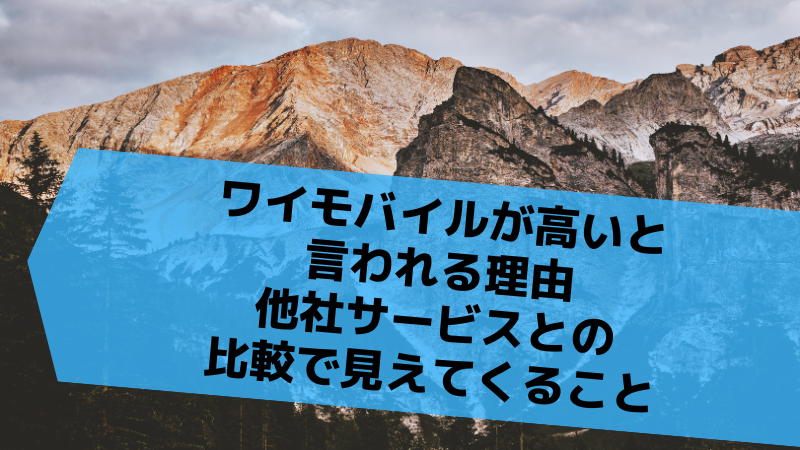 ワイモバイルが高いと言われる理由｜他社サービスとの比較で見えてくること