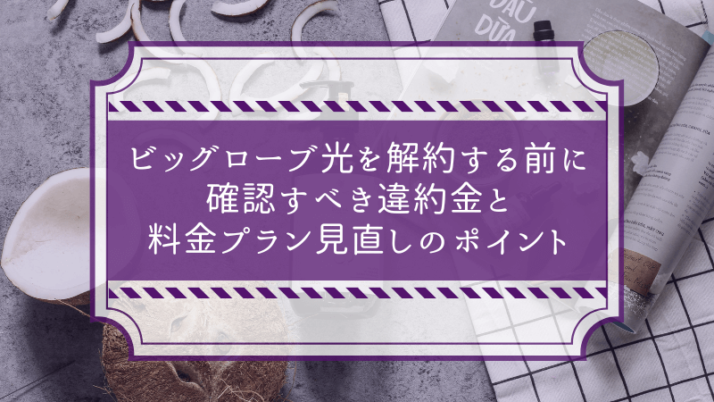 ビッグローブ光を解約する前に確認すべき違約金と料金プラン見直しのポイント