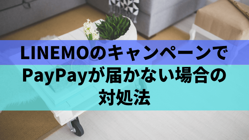 LINEMOのキャンペーンでPayPayが届かない場合の対処法