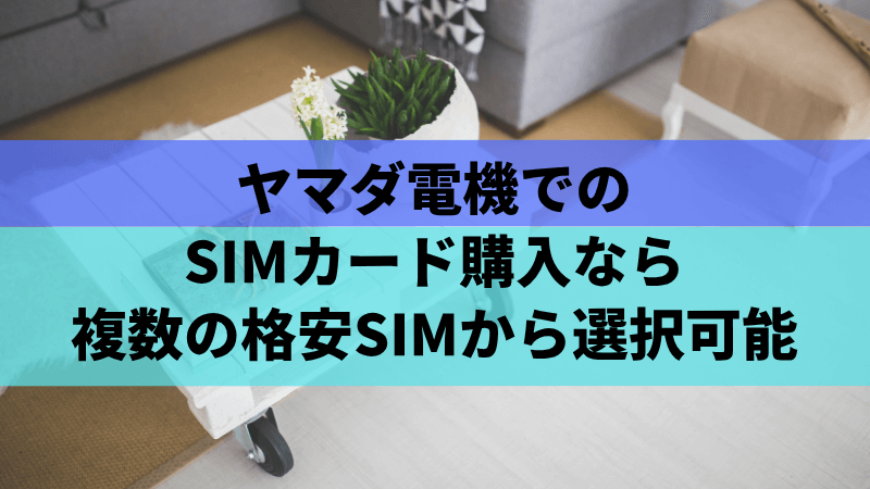 ヤマダ電機でのSIMカード購入なら複数の格安SIMから選択可能