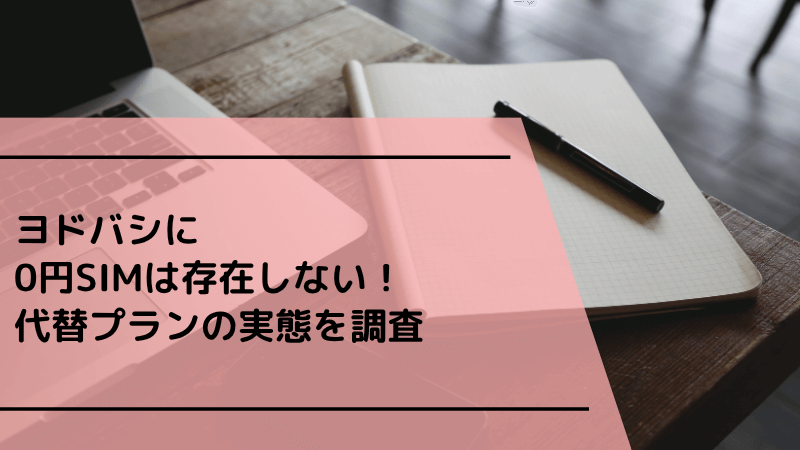 ヨドバシに0円SIMは存在しない!代替プランの実態を調査